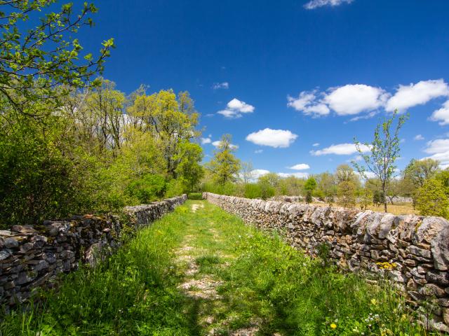 Chemin près du moulin de la Bosse à Promilhanes