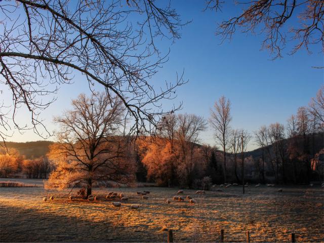 Dans la vallée du Célé à Boussac
