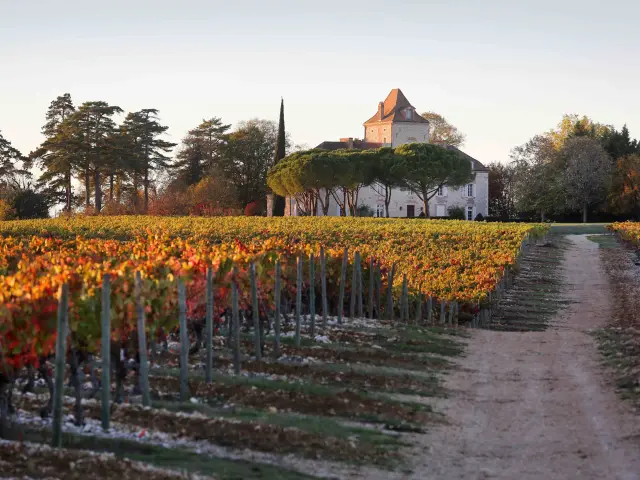 Château de Haute-Serre SAS Georges Vigouroux