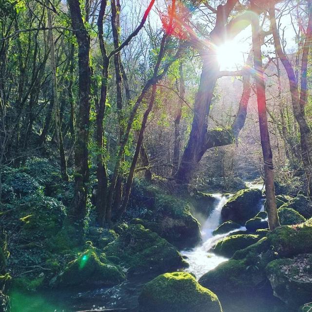 Instagram #igerslot