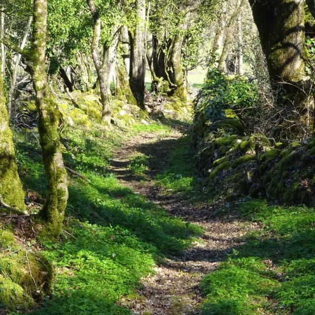 Instagram #igerslot
