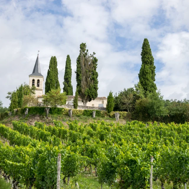 Eglise Saint-Etienne et ses vignes