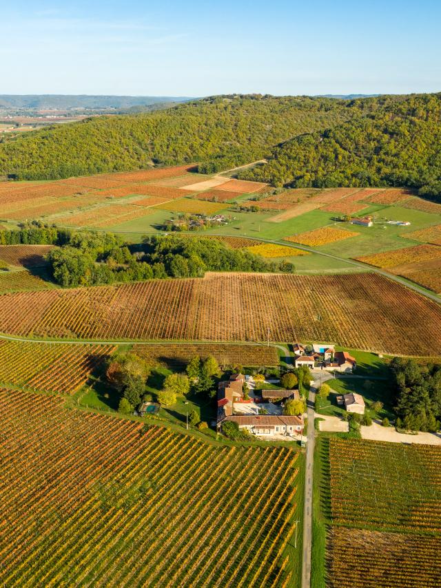 Vue aériene du Vignoble de Cahors - le Caillau à Vire-sur-Lot