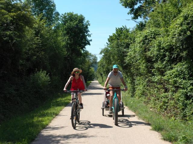 Vélos De Face