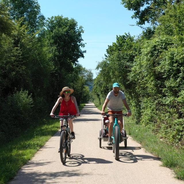 Vélos De Face