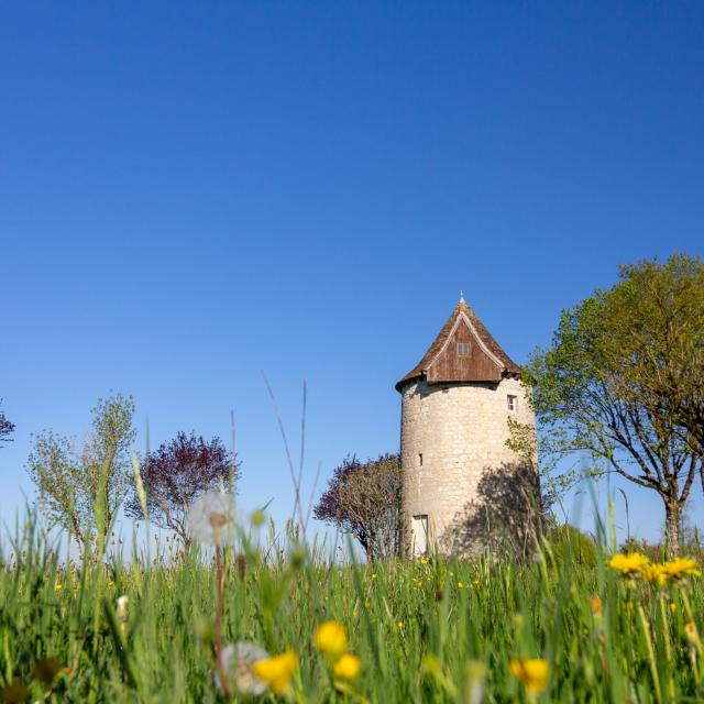 Moulin à Soulomès