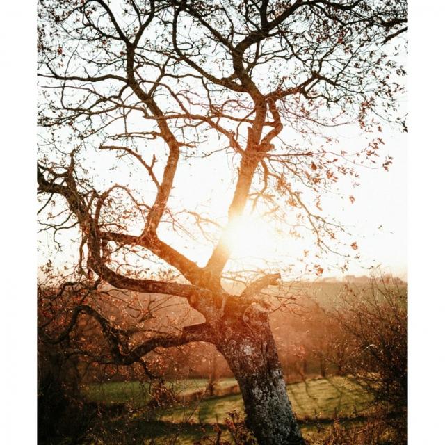 Instagram #igerslot