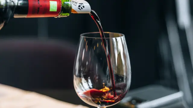 Dégustation de vin au Malbec Lounge à Cahors