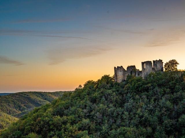 Chateau Roussillon à St Pierre Lafeuille