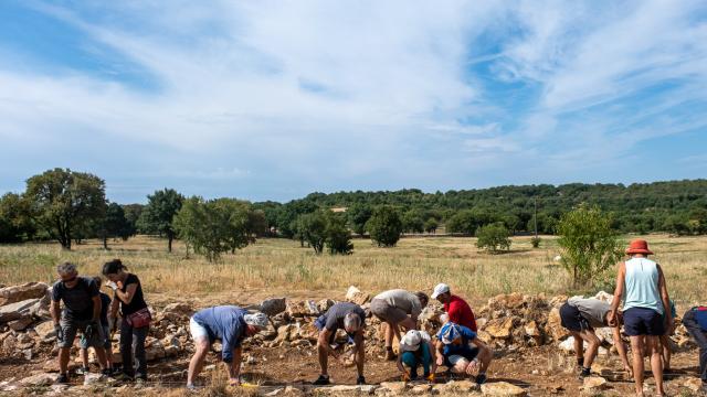 Construction d'un muret en pierres sèches