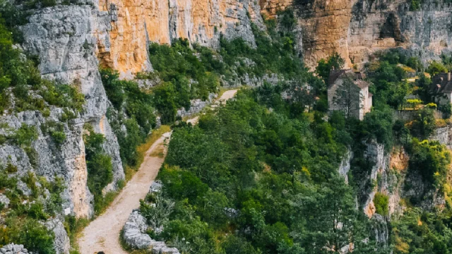 Fonds Ecran 07 Juillet Vertical Clara Ferrand Wildroad