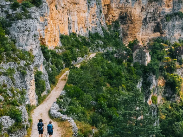 Fonds Ecran 07 Juillet Vertical Clara Ferrand Wildroad