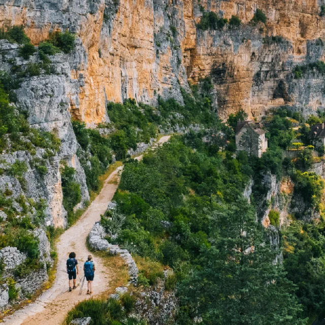 Fonds Ecran 07 Juillet Vertical Clara Ferrand Wildroad