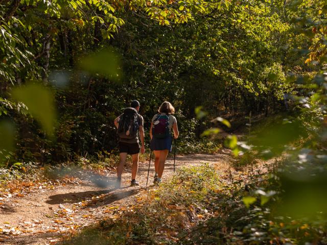 Sur le chemin de Saint-Jacques par le GR6