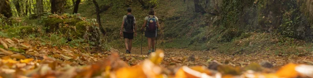 Sur le chemin de Saint-Jacques par le GR6