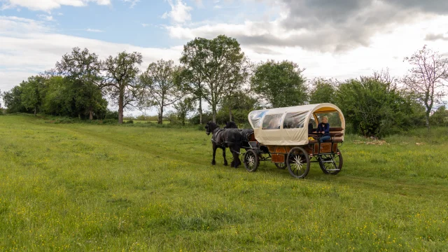 En calèche en pleine nature