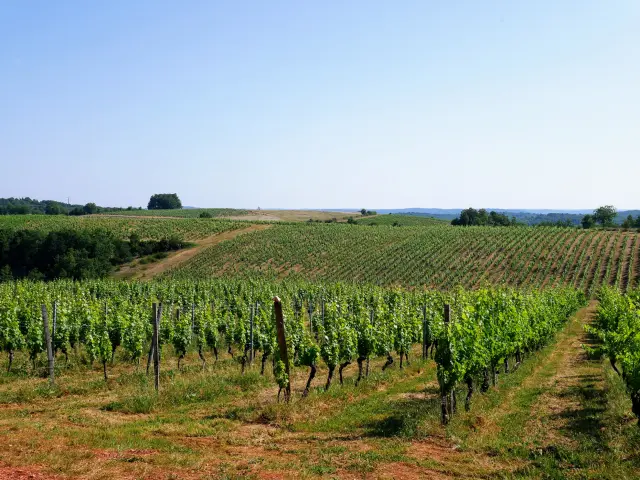 www.tourisme-lot.com