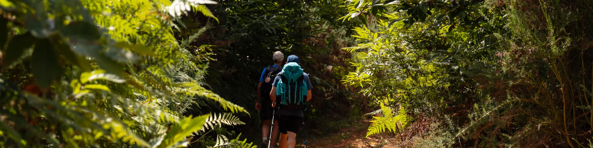 Randonneurs sur le GR 652 en Bouriane