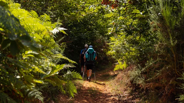 Randonneurs sur le GR 652 en Bouriane