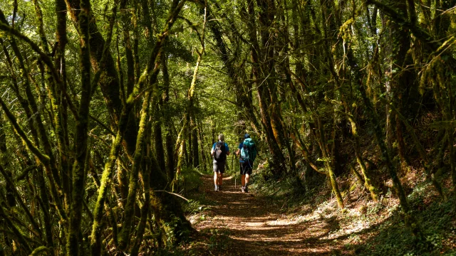 Randonneurs sur le GR 652 en Bouriane
