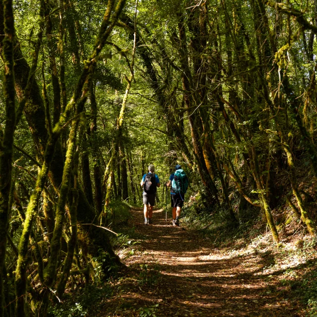Randonneurs sur le GR 652 en Bouriane