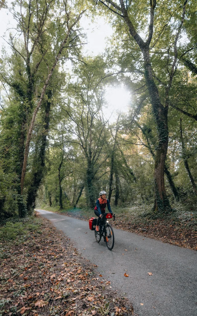 Cycliste sur la V86, la Vallée du Lot à vélo