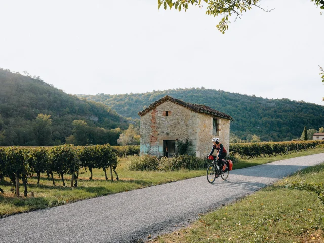 Passage dans le vignoble de Cahors sur la V86