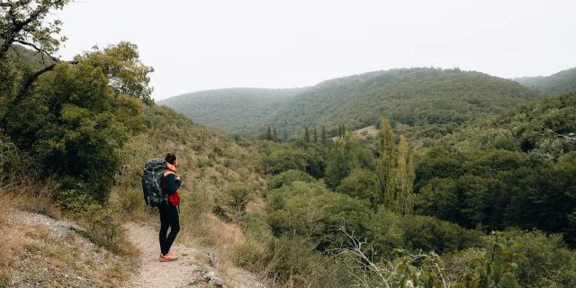 Sur le Chemin d'Amadour
