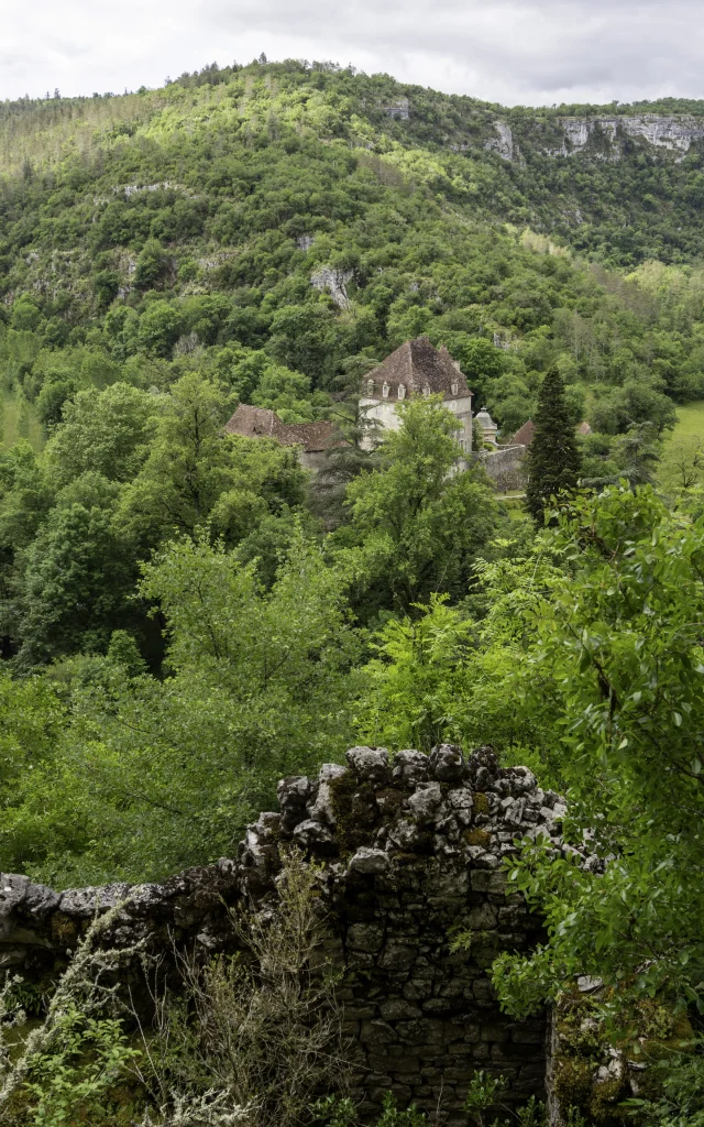 Vieux Sauliac G. Condat I Trekkings 100