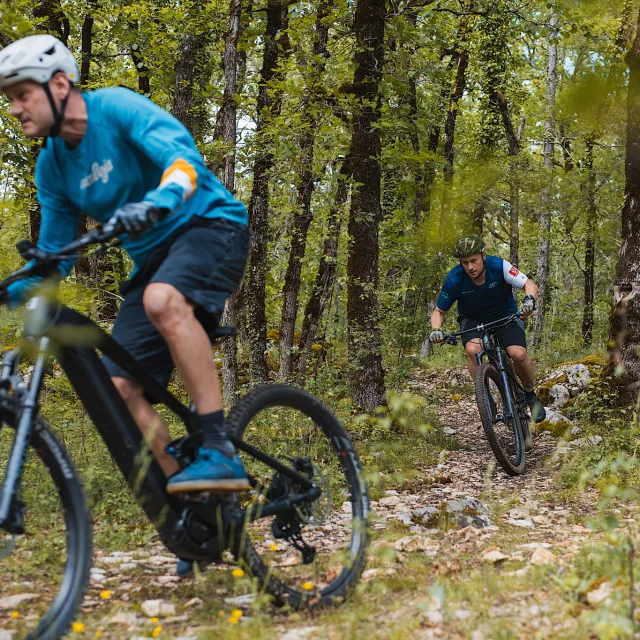 Descente VTT au cœur des sentiers boisés
