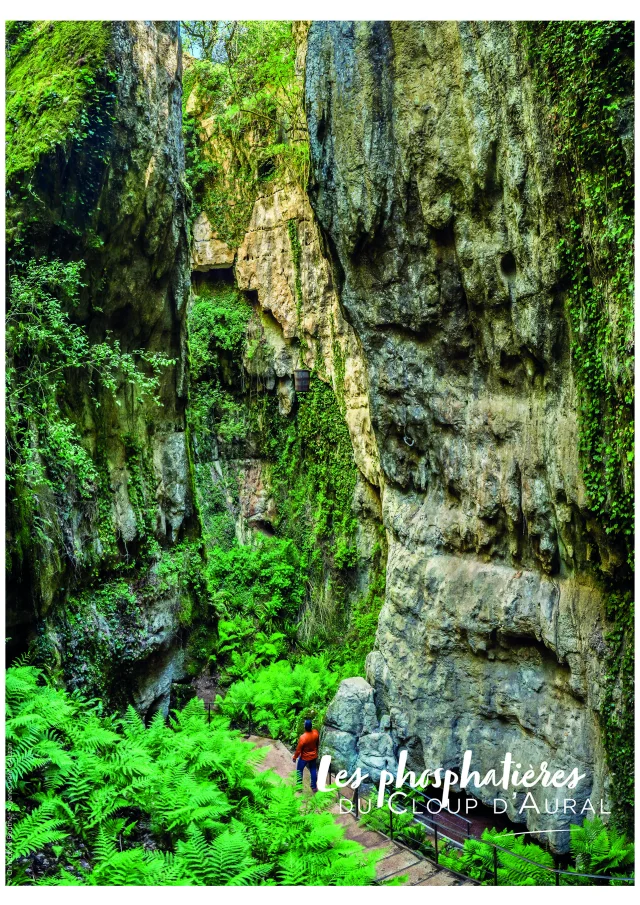 Cdr Affiche Phosphatieres