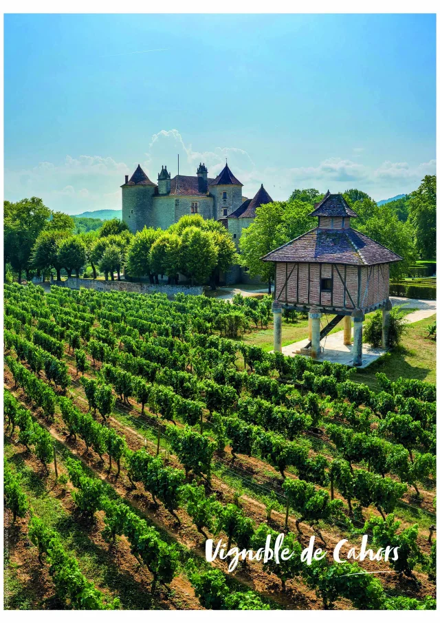 Cdr Affiche Vignoble