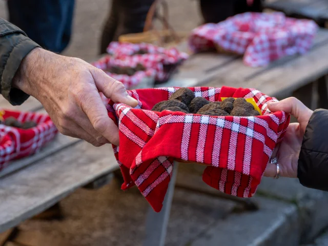 Marché aux truffes