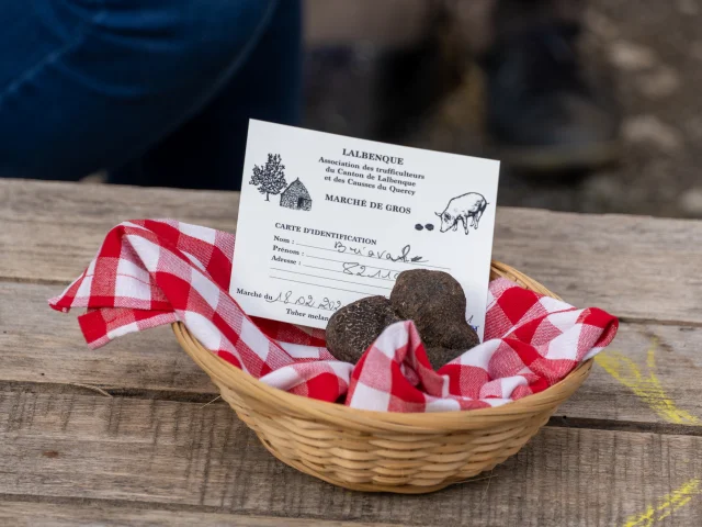 Panier de truffes sur la marché de Lalbenque