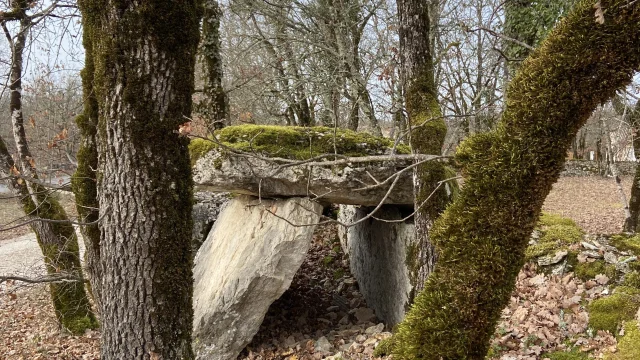 230221 Lalbenque Sentier Truffes Dolmen Peyrelevade Rotated