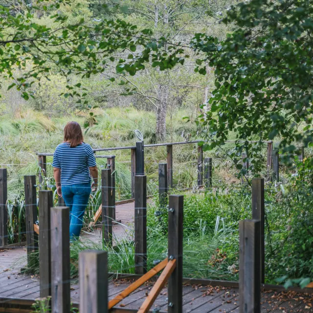 Balade sur l'Espace Naturel Sensible de la Vallée de la Masse