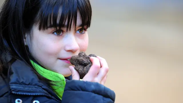 Découverte du diamant noir