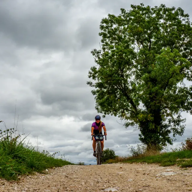 Gravel sur les causses du Quercy - Lalbenque