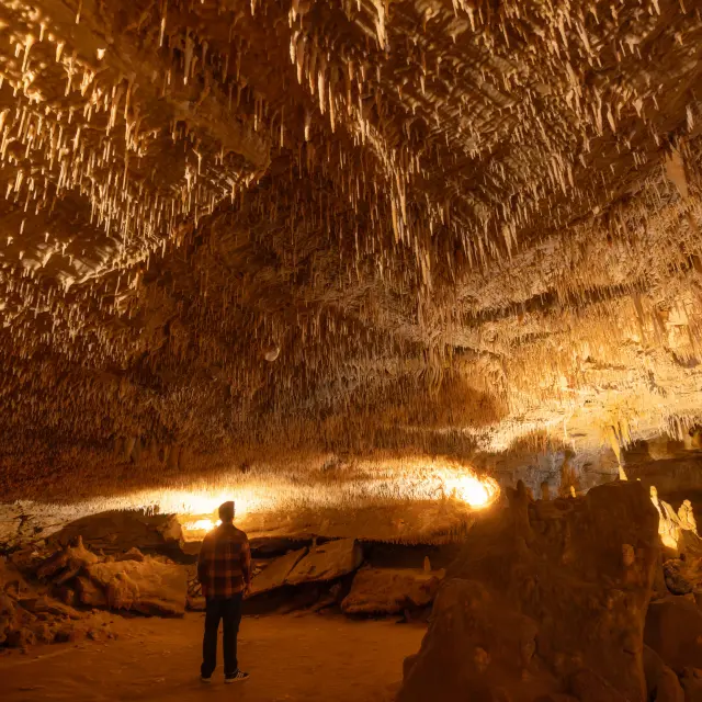 Visite de la grotte de Cougnac