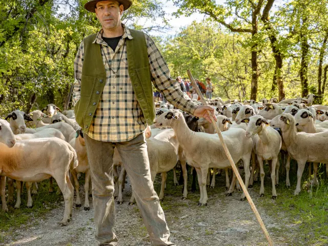Transhumance en Quercy