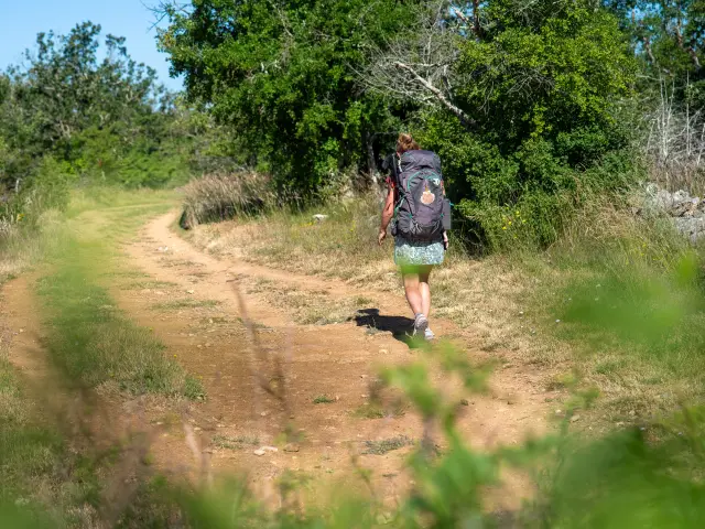 Sur les chemins de Saint-Jacques de Compostelle