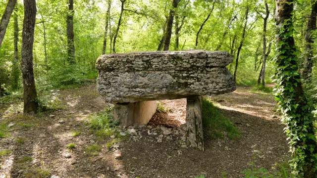 Dolmen de Pech Lapeyre