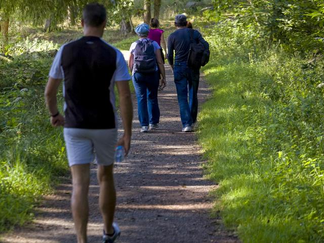 Balade dans les sous bois vers le lac de Lourdes