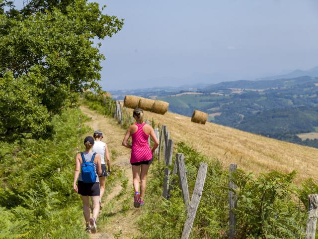 Course à pied et marcheurs sur le chemin Henri IV