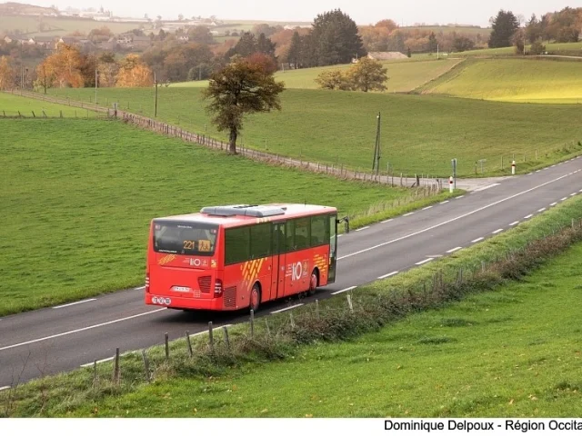 Car, (12), novembre 2022