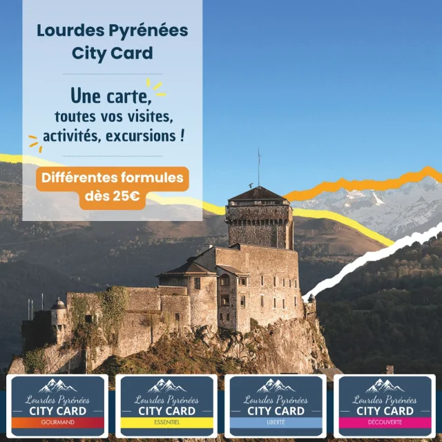 CIty Card 2025