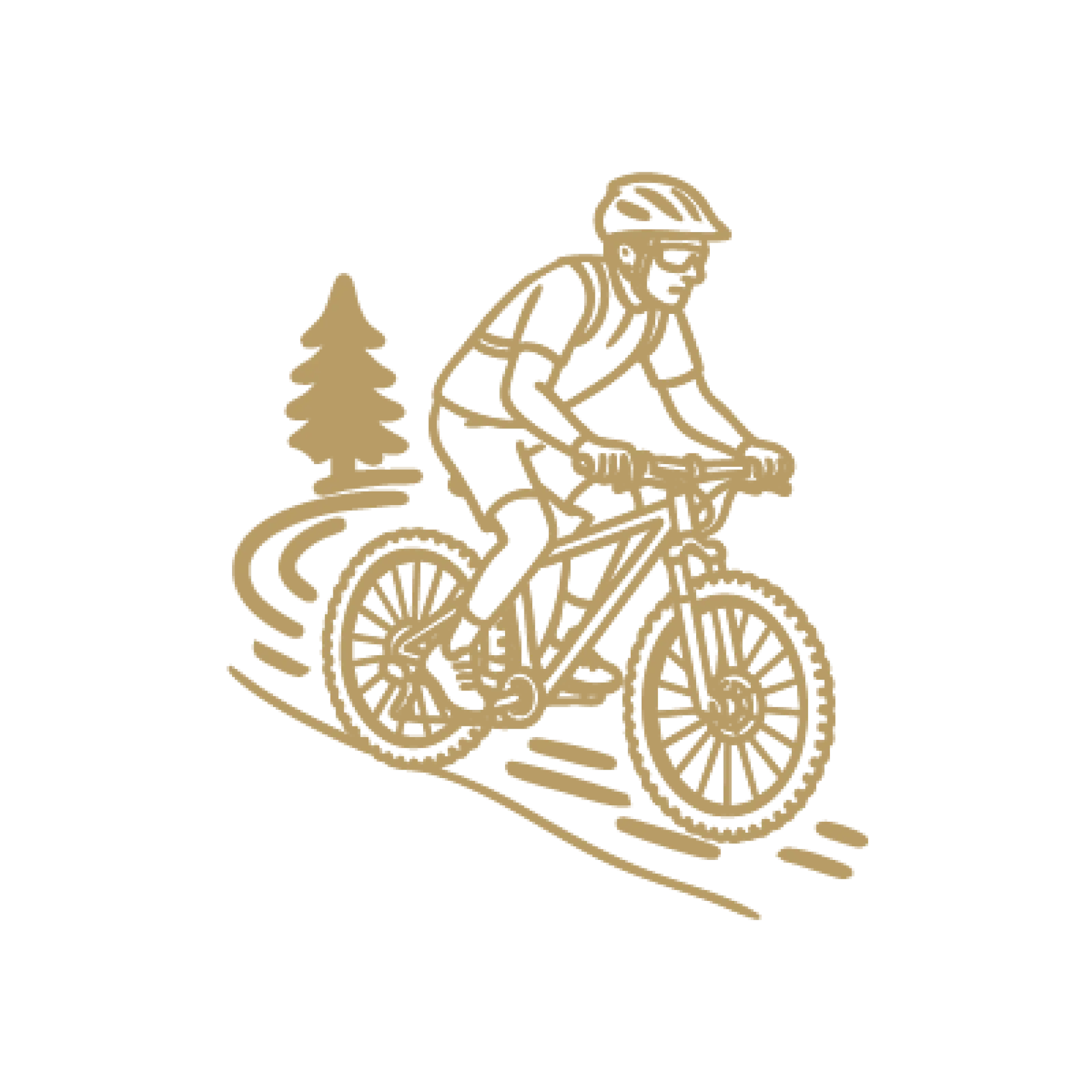 Illustration Vtt 1