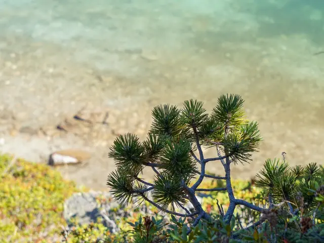 Réserve naturelle du Néouvielle
