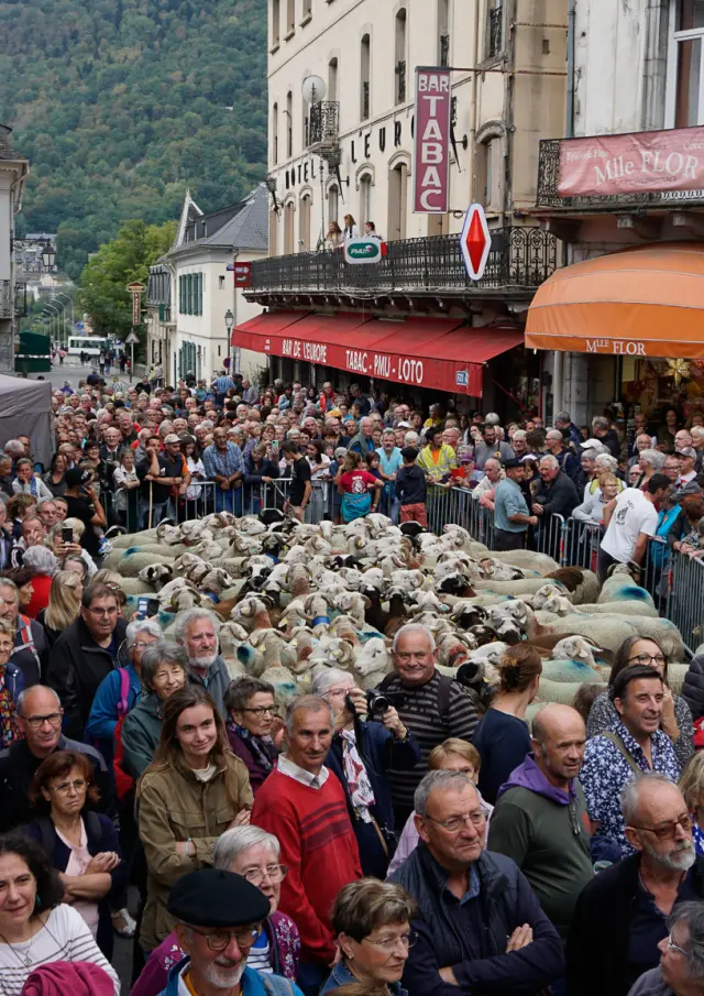 Foire aux côtelettes