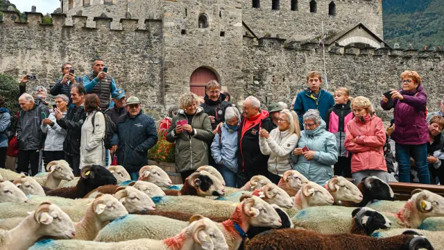 Foire aux côtelettes